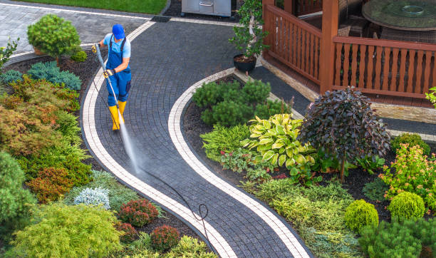 Best Concrete Pressure Washing  in Tuscola, IL